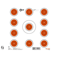 Allen Al15245 Ez Aim Paper Target 11 Spot Indoor 13pk 12-Inch