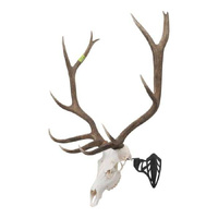 Allen Al7223 Magnum Skull Hanger Heavy-Duty Steel Adjustable Swivel Black