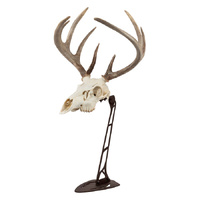 Allen Al7226 Ez Mount Centerpiece Skull Stand Solid Steel Adjustable Matte Brown