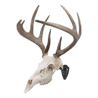 Allen Al7227 Ez Mount Skull Hanger Solid Steel Fixed Angle Small Mid-Size Game