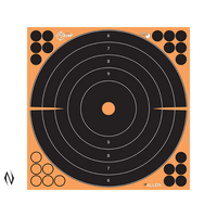 Allen Al1531710 Ez Aim Target 12 Inch 10 Pack Bullseye Adhesive