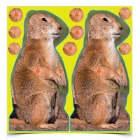 Birchwood Casey Shoot-n-c 8 Inch Prairie Chuck Self Adhesive Shooting Target - 12 Sheets 48 Pasters #34786