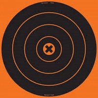 Birchwood Casey Big Burst 12 Inch Bullseye Shooting Targets - 25 Sheets #bc-36025