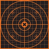 Birchwood Casey Bigburst 12 Inch Sight In Shooting Targets - 25 Sheets #36225
