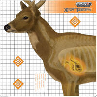 Champion Hunting Shooting Target Deer 4 Color High Contrast - Large 25x25 Inches 6 Pack  #ch45902