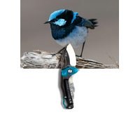Koi Bella Blue Wren Edc Folding Pocket Knife With Cpm Magnacut Steel Blade