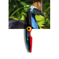 Koi Colin The Cassowary Edc Pocket Knife With 14c28n Steel Drop Point Blade