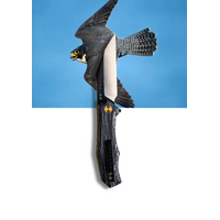 Koi Ford The Falcon Pocket Knife With 14c28n Sandvik Steel Wharncliffe Blade