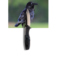 Koi Chris The Crow Edc Folding Pocket Knife With Sandvik 14c28n Steel Blade