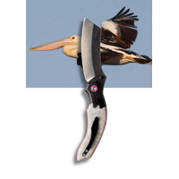 Koi Mr Percival Pelican Folding Pocket Knife With 14c28n Steel Blade