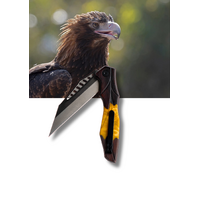 Koi Evan Wedge Tailed Eagle Edc Pocket Knife With Redgum Resin Handle