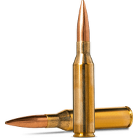 Norma 20185272 Rifle Ammunition 338 Norma Mag 300gr Hpbt 20 Pack
