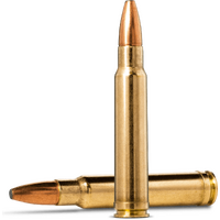 Norma 20190072 Ammunition 358 Norma Magnum 250gr