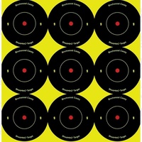 Birchwood Casey Shoot-N-C Shooting Reactive Targets - 2 Inch Round  108Pcs #34210