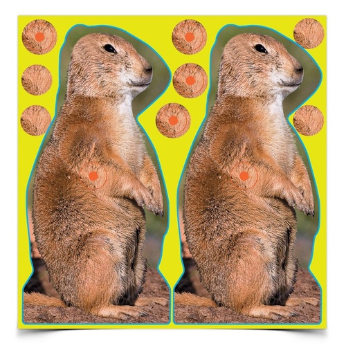 Birchwood Casey Shoot-N-C 8 Inch Prairie Chuck Self Adhesive Shooting Target - 12 Sheets 48 Pasters #34786