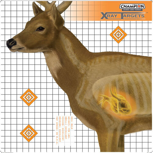 Champion Hunting Shooting Target Deer 4 Color High Contrast - Large 25x25 Inches 6 Pack  #ch45902